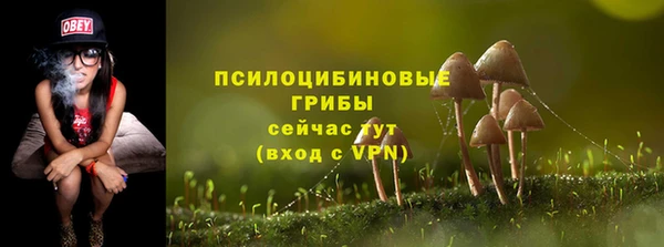 не бодяженный Алзамай